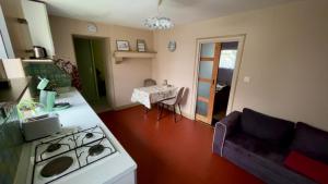 Maisonnette deux couchages في Chantenay-Saint-Imbert: مطبخ مع موقد وغرفة معيشة