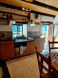 a kitchen with a sink and a counter top at Casa Mönä in Corippo