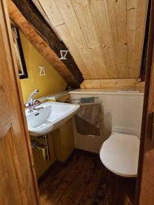 a small bathroom with a sink and a toilet at Casa Mönä in Corippo