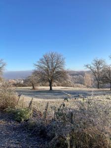 Природа в окрестностях отеля типа «постель и завтрак»