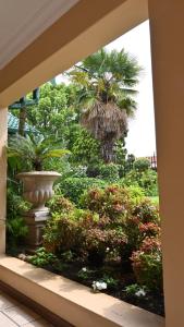 LUXURY ROOM @ 4 STAR GUEST HOUSE في ميدلبرغ: اطلالة نافذة على حديقة بها نخلة