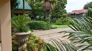 LUXURY ROOM @ 4 STAR GUEST HOUSE في ميدلبرغ: حديقة فيها مزهرية كبيرة فيها نباتات