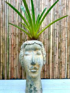 Φωτογραφία από το άλμπουμ του Lime Splash Private pool σε Nathon Bay +27 φωτογραφίες