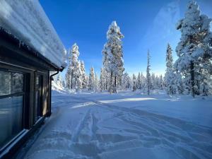 a train in the snow with snow covered trees at Trysilfjell hytteomrade 2124 by Vacation Trysil in Hovi