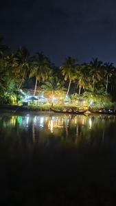 a beach with palm trees and lights at night at Kadingis homestay and eco tourism in Kadalundi