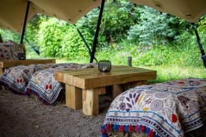 Κήπος έξω από το The Filly Inn +19 φωτογραφίες