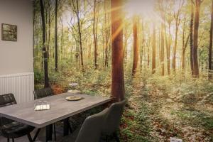 Příroda nedaleko penzionu