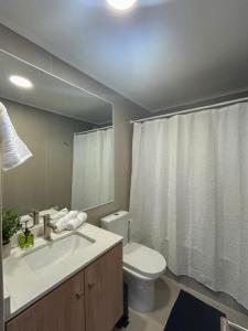 Ένα μπάνιο στο Dpto por dia Chillán 909