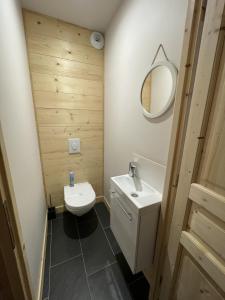 a bathroom with a toilet and a sink and a mirror at Chalet AIGUILLON RDC D in Le Lioran +33 photos