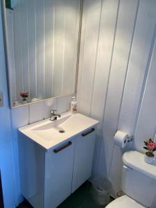 Ένα μπάνιο στο Cabaña Frutillar Bajo