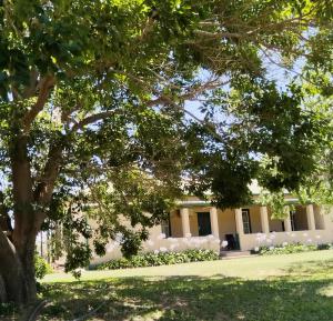 En have udenfor Blydskap se Ouhuis