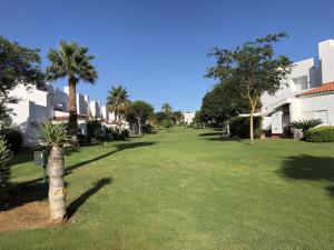 un patio verde con palmeras y edificios en Casa Hortensia, en Chiclana de la Frontera