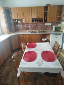 Kuchyň nebo kuchyňský kout v ubytování Apartmán Na Myslivecké