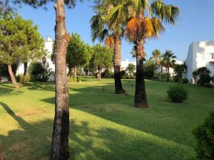 un grupo de palmeras en un parque en Casa Hortensia, en Chiclana de la Frontera 22 fotos más