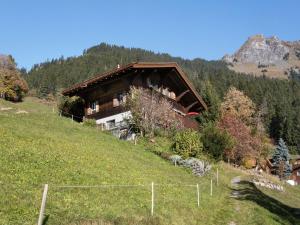 a house on the side of a hill at Apartment Jungfrau a d Ledi-1 by Interhome in Wengen