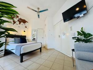 Et tv og/eller underholdning på Polly's Home Aralias Boutique GuestHouse & PrivateSuites