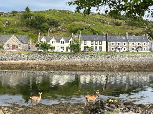 due cervi in piedi nell'acqua davanti a una casa di Inverpod a Lochinver
