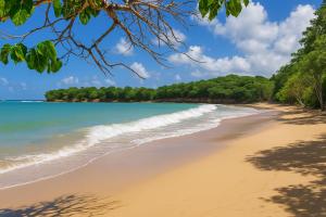 a sandy beach with trees in the background at Calme Villa in Sainte-Rose