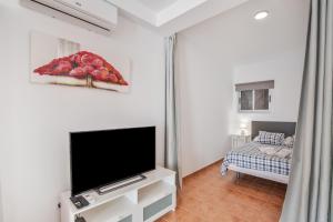 TV a/nebo společenská místnost v ubytování Vv Velero