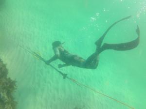 Al QārinOcean Camp的水中的人,有鱼