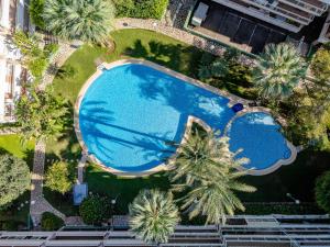 Swimmingpoolen hos eller tæt på Apartment Dianium-1 by Interhome + 24 billeder