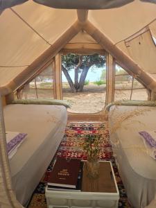 a tent with a book and a table in it at Cimarte The Path Lukove in Lukovë
