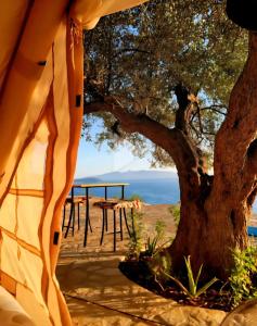a table and a tree with the ocean in the background at Cimarte The Path Lukove in Lukovë
