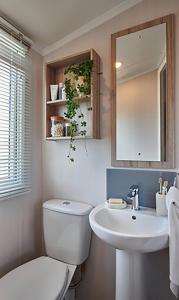 Heather View Essential Clover Caravan Pet 2 في ستانهوب: حمام مزود بمرحاض ومغسلة ومرآة