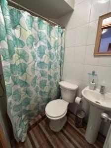 a bathroom with a toilet and a sink and a shower curtain at cabañas los Ulmos in Licán Ray