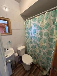 a bathroom with a toilet and a shower curtain at cabañas los Ulmos in Licán Ray +63 photos