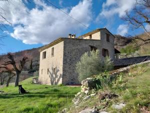 zwei Hunde sitzen auf dem Dach eines Gebäudes in der Unterkunft Mas En Pierre in Vercoiran