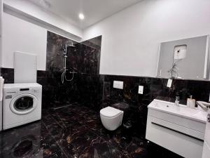 une salle de bain avec un lavabo et une machine à laver dans l'établissement Werre Apartments mit Smart-TV - stilvol, zentral & wohnlich, à Löhne