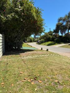 a house on a street with a tree and a road at La Variopinta in Punta del Este