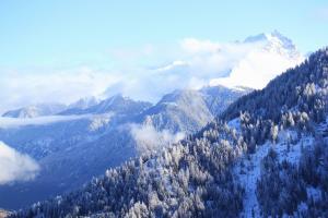 una montagna coperta di neve e alberi con nuvole di Maiensäss Stafel 45 a Mutten