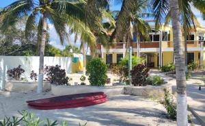 Κήπος έξω από το Celeste Vida +66 φωτογραφίες