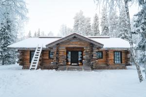 ロヴァニエミにあるVaattunki Wilderness Resortのはしご付きの雪の丸太小屋