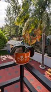 Zahrada ubytování Kilimanjaro Helichrysum Homes