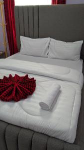 Postel nebo postele na pokoji v ubytování Kilimanjaro Helichrysum Homes + 11 fotografií