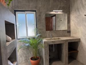 un bagno con un lavandino e una pianta in vaso di Global Chill Farm Loft a Rogil Altre 22 foto