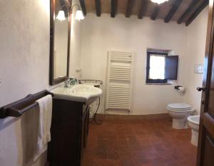 a bathroom with a sink and a toilet at Podere Mazzarelle in Castel del Piano +60 photos