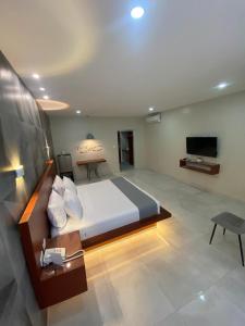a bedroom with a large bed and a television at HOTEL OSHO in Santa Cruz de la Sierra