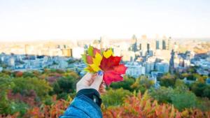 Eine Person, die vor einer Stadt ein buntes Blatt hält in der Unterkunft Free Parking! Fast Wifi! Comfortable 3BR Apt for Montreal Explorers & Adventure! in Montreal