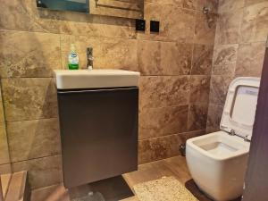 een badkamer met een wastafel en een toilet bij 1949 Luxury Apartment in Ashalebotwe