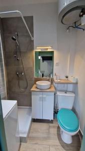 a bathroom with a toilet and a sink and a shower at Studio Cosy - Proche Tram et Gare de Grenoble in Fontaine