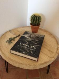 een boek op een tafel met een cactus bij Casa Iemanjá in Vila do Bispo +39 foto's