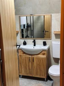 a bathroom with a sink and a mirror and a toilet at Guest House Sara 2 in Žabljak +28 photos