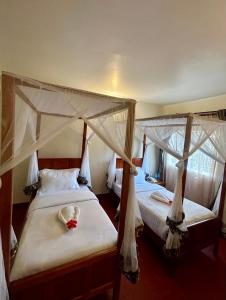 Afbeelding uit fotogalerij van Patamu Restaurants Lodge & Safaris in Karatu +18 foto's