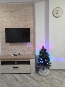 图尔恰Apartament Gabi的客厅里的圣诞树,配有电视