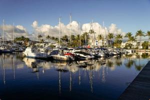 Φυσικό τοπίο κοντά σε αυτό το διαμέρισμα