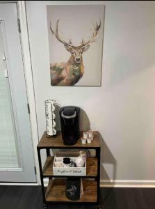 Φωτογραφία από το άλμπουμ του Private Cozy Modern Studio in Roswell σε Roswell